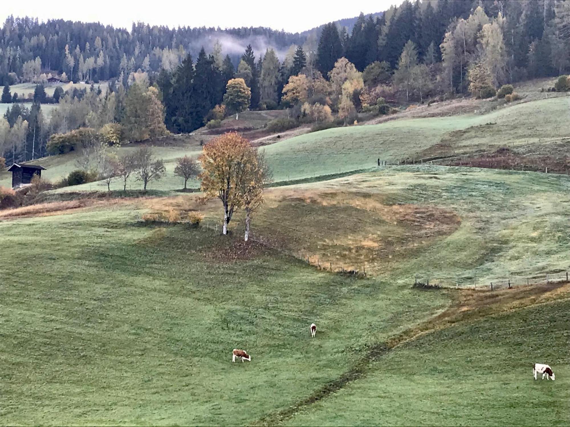 Bio Schartenhof Санкт-Йохан Экстерьер фото